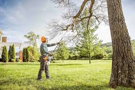 Best Tree Risk Assessment  in East Gaffney, SC